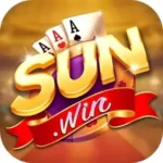 sunvn2 win